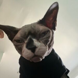 Meet your Posher, AK